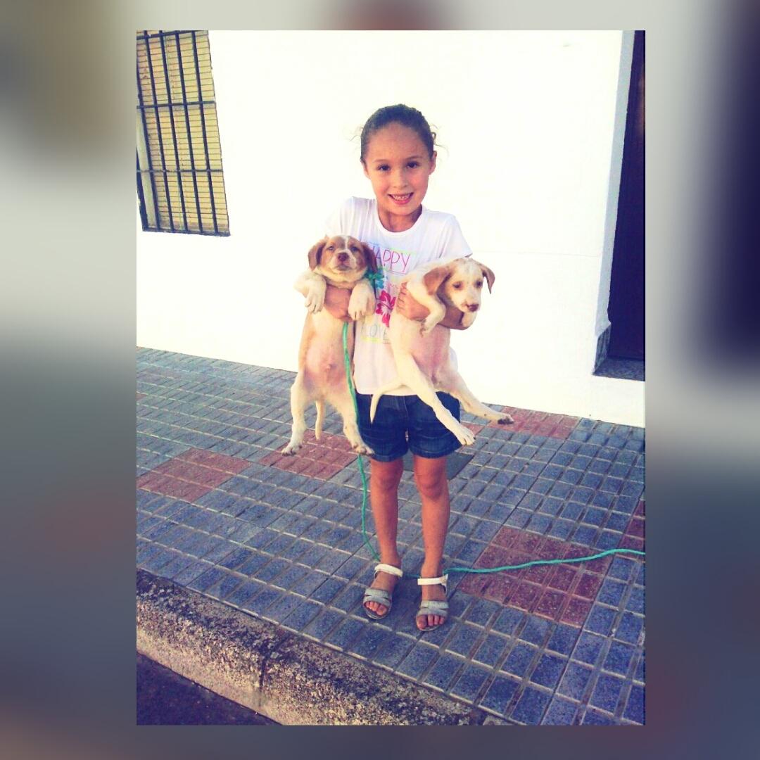 lidiariveera's tweet photo. Purísimo amorr!!!! Fan de sus perritos🐶🐶😍 http://t.co/vdE8LkcvTl