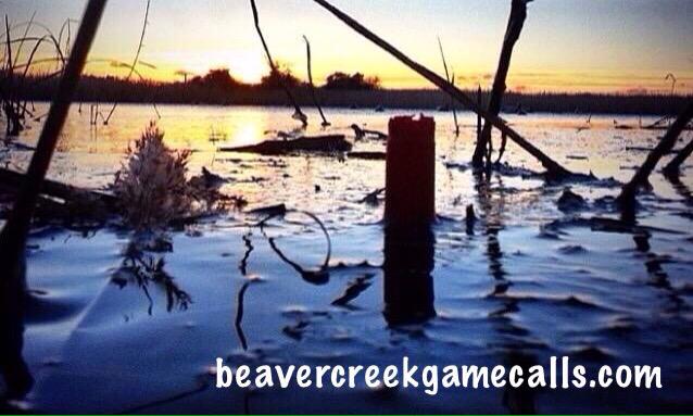 BeavrCreekCalls's tweet photo. #TweetYourBlind Tweet your duck blind or deer stand view! http://t.co/Xwrh3UHLWe