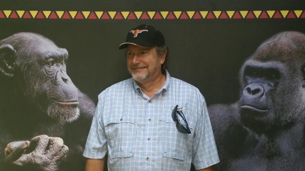 SANDIALLISON's tweet photo. #gorrilla love http://t.co/o3A3LufAMZ