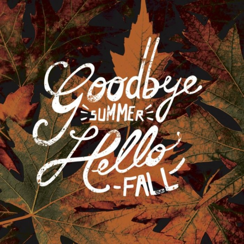 BreezeNY's tweet photo. Happy first day of autumn! http://t.co/vMpwDl93x4