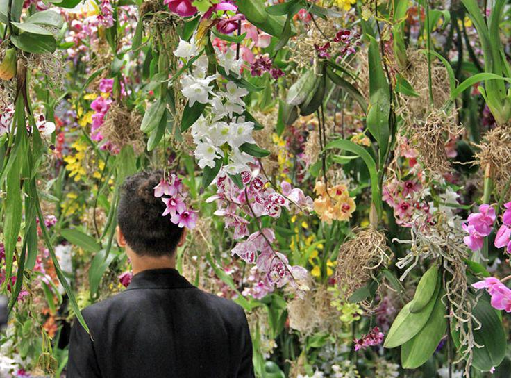 Bouquet tweet media