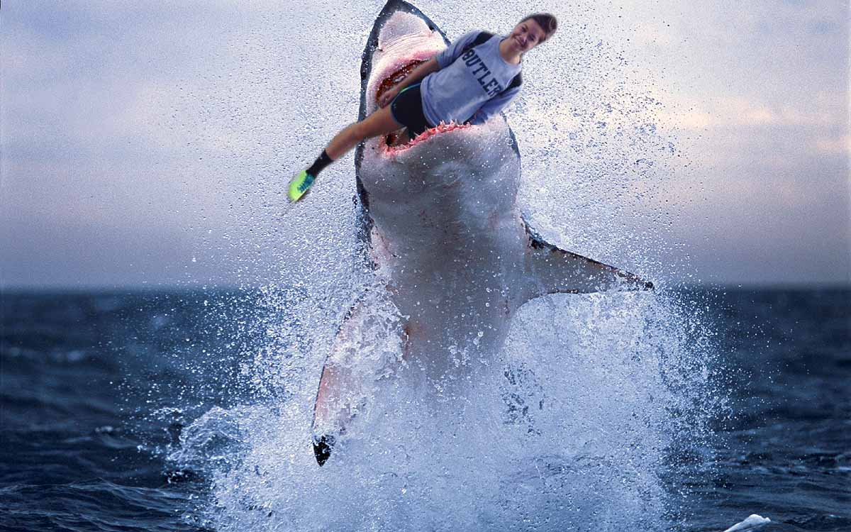 Tori4HoCo's tweet photo. LIVE EVERY WEEK LIKE IT'S SHARK WEEK. VOTE FOR TORI. http://t.co/BPvNQ8to9w