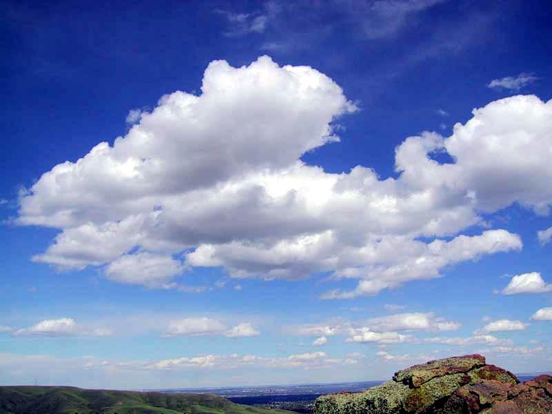 cozycloud's tweet photo. Ho ! 520 votes ! Et une photo de nuage de plus. On découvre ici le cumulus : https://t.co/2UlcgVkoNo #voteforcozy http://t.co/TKeERMX4Uo