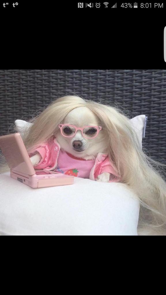 StewartMark96's tweet photo. Oversleeping and missing both your 9 and 10am classes got me like

#ACUProblems http://t.co/HaoVrXRg4I