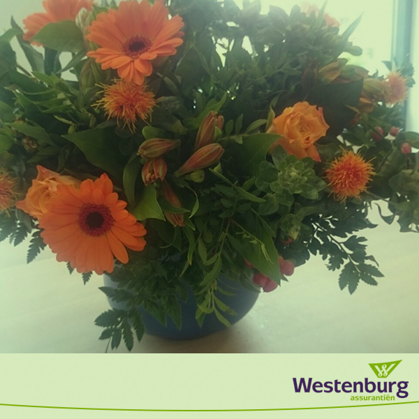 WestenburgNL's tweet photo. Onze casemanager NLG Werkvermogen, Marike de Nobel, ontving een prachtig boeket bloemen van een zeer tevreden relatie http://t.co/rSeVVDVX3C