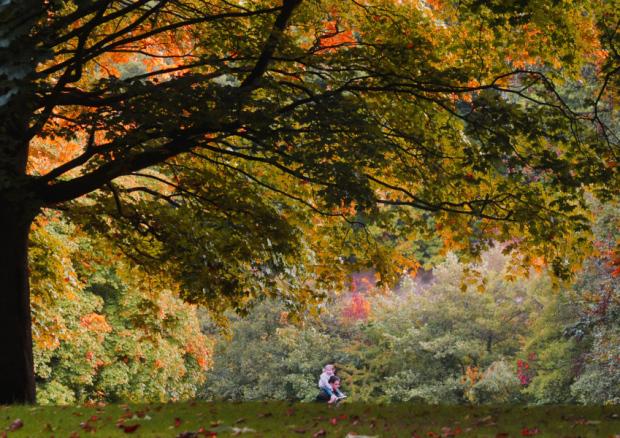 LeedsNews's tweet photo. Autumn here as Leeds turns brown
http://t.co/HdJpihccAG #autumnalequinox #Leeds #yeplive http://t.co/0wuwij0yBS