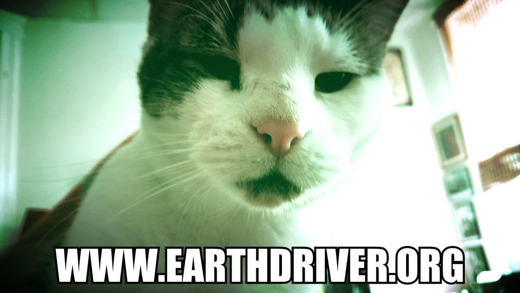 Earthdriver's tweet image. The cream of the indy-underground #Earthdriver #Earthdriver.org #Kafka