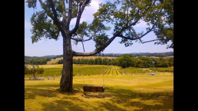 PrincipAliDM's tweet photo. How do you #SeeYourRetirement? Mine looks approximately like this.... http://t.co/SeKEY7OYKv