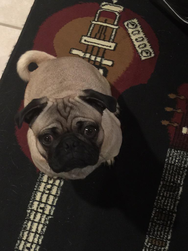 WF_TheOutsiders's tweet photo. Brutus says "everyone come to church tonight! And bring your friends too!" #Battlestudies #HowToMeasureGreatness http://t.co/smKqsF7AHs
