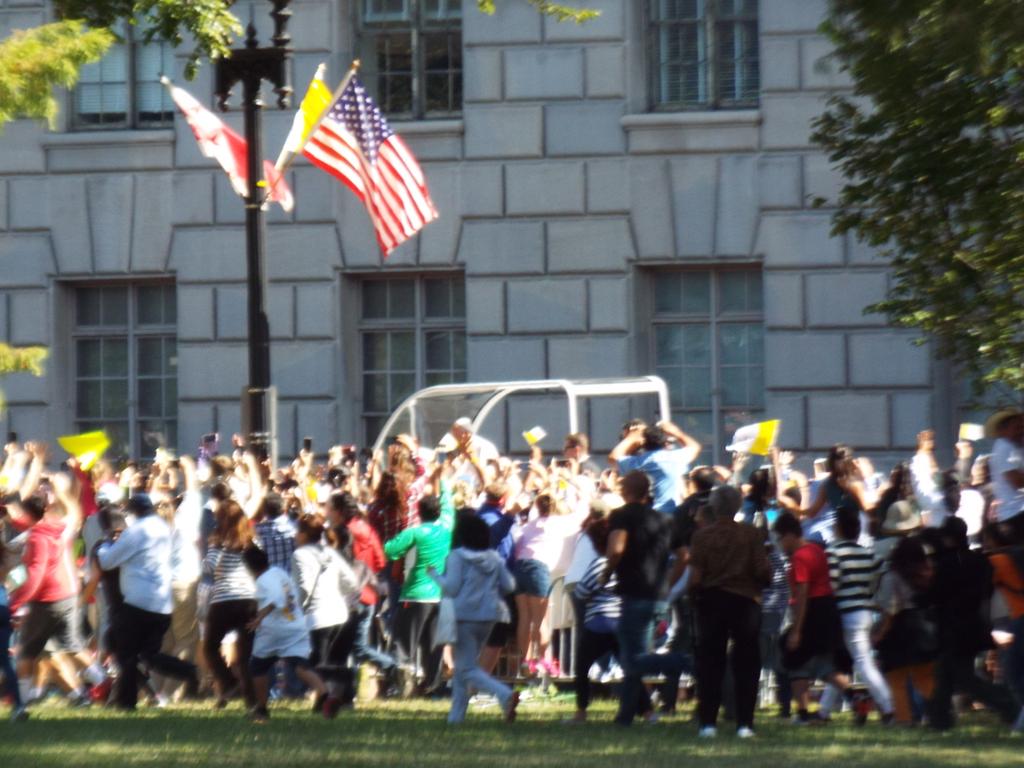 wareFLO's tweet photo. Here are my best #Parade #PopeInDC #PopeInUS photos: not too bad! Plus morning's #Periscope https://t.co/3TfVpuzXkB http://t.co/XbXl7i09OY