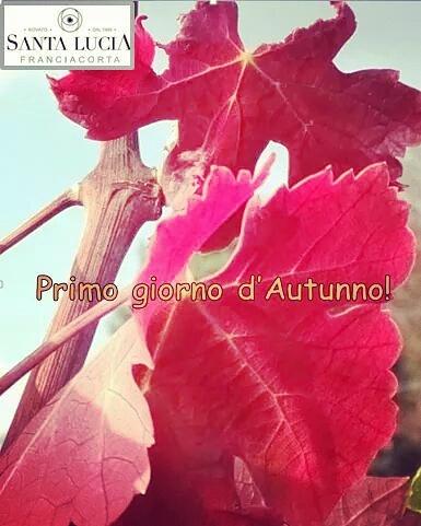 SantaLucia1999's tweet photo. Buon primo giorno d'Autunno!
https://t.co/jwS0XIzeh3 http://t.co/IvfeCfeRam