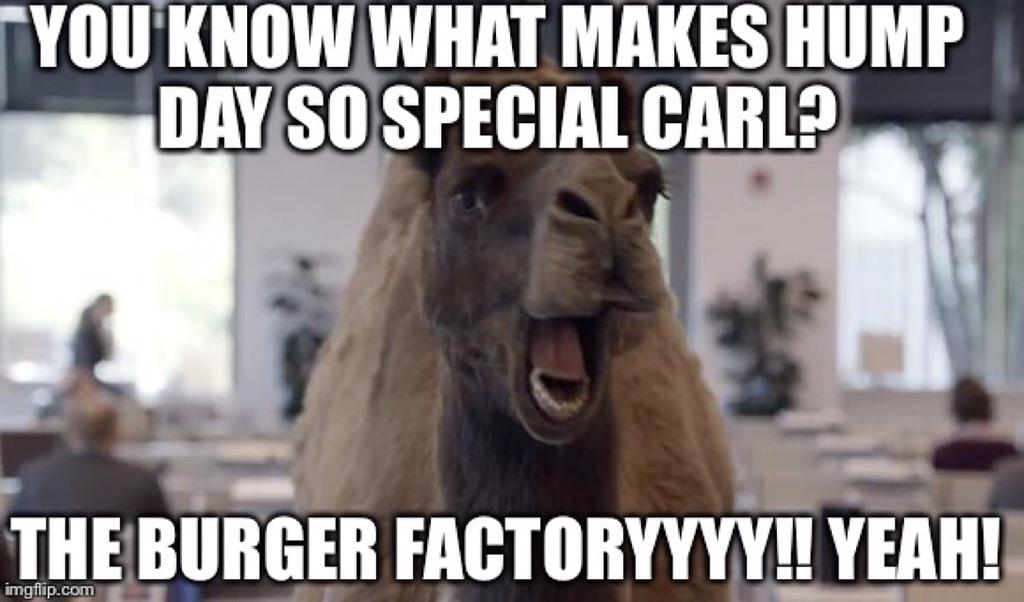 FactoryBurger's tweet image. Straight from the camel himself! Come check out #TheBurgerFactoryExperience today!