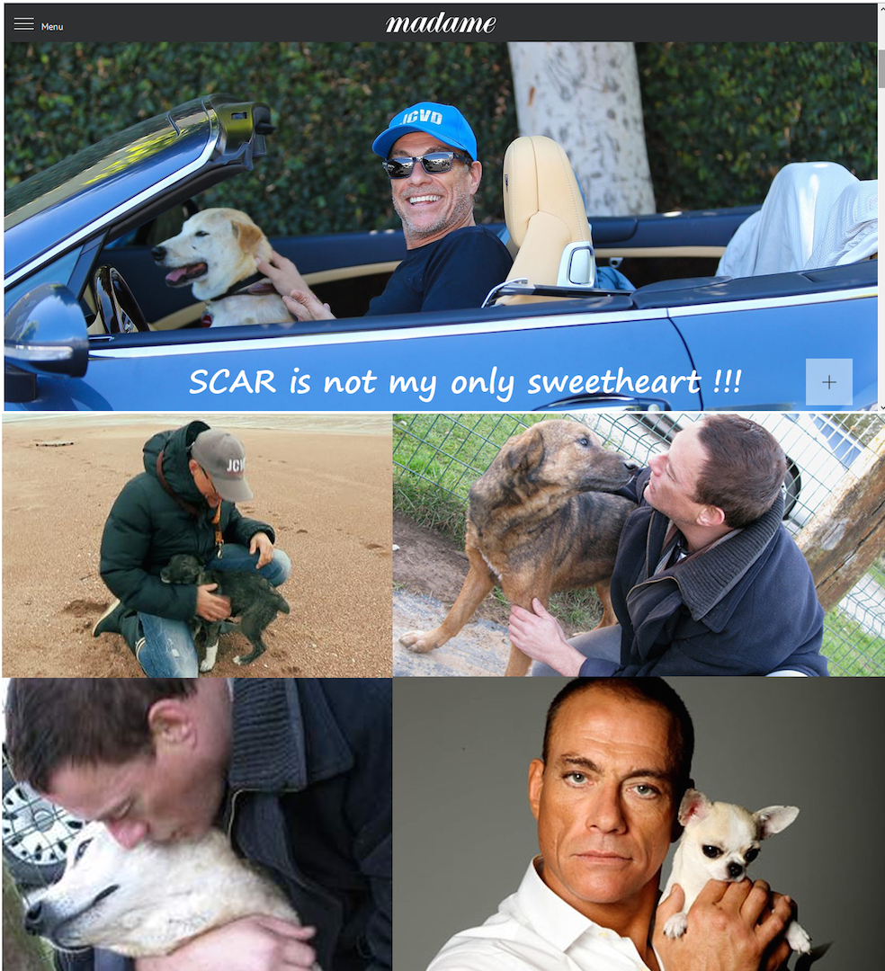 JCVD's tweet photo. I don't just have one sweetheart but many more ..... here's the proof @Madamefigaro @Le_Figaro #Megapositive #JCVD http://t.co/ymOoPYpdvi