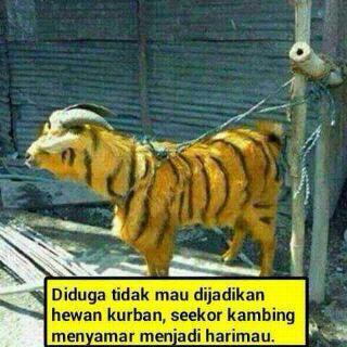 Awis_Nu's tweet photo. Headline News hari ini... http://t.co/EzTJFvfFKW