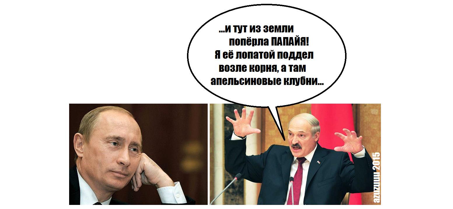 Беларусь юмор