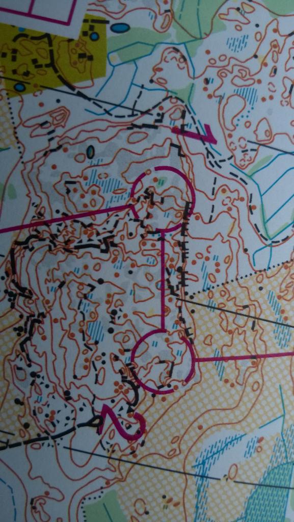 Paluu Hirvijärvelle! AV-yö #Fin5 #suunnistus #priimaa Ensimmäinen pakkasyö tappanut myös hirvikärpäset.