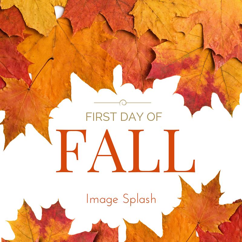 ImageSplashMN tweet picture