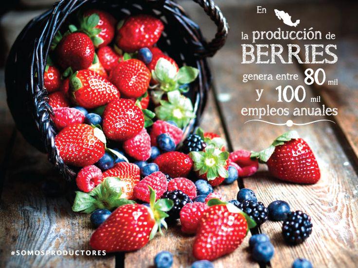Agricultura_mex tweet picture