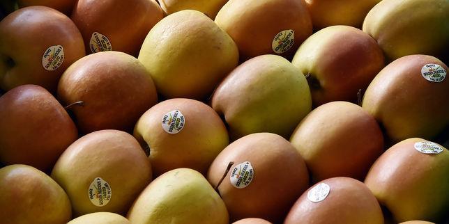 lemondefr's tweet photo. L’Autorité de la concurrence enquête sur la compote http://t.co/A1F8ZDjadE http://t.co/19WtmvmOTI
