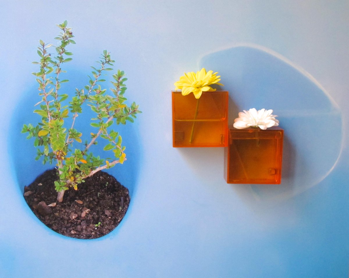 Biomima_Hub's tweet image. BIONIC PHOTO - FOTOGRAFIA BIONICA #BIONICART #BIONICPHOTO #HONEVO #FOTOBIONICA #ARTEBIONICO #SUSTAINABLE #GREEN #ECO