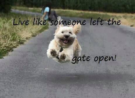 onlinehypnotherapy tweet media