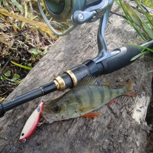 HandmadeLures's tweet photo. Just to contrast I'll post some local #microbass tropheys. True killer fish ;) Do you have yours? http://t.co/yhNkhozCro