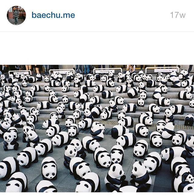 K00KKIK's tweet photo. หรือว่าจริงๆแล้ว #basecream คือการรวมตัวของคนรักหมีแพนด้า http://t.co/D1AG9ObRb8