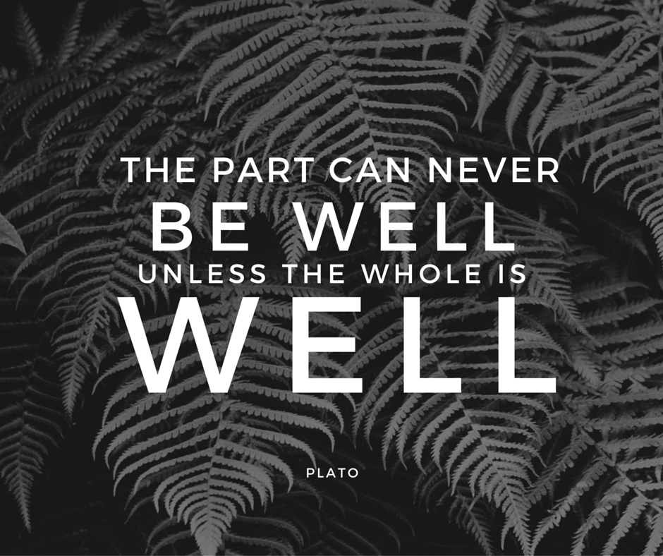 rawpothecary's tweet photo. Wise words for #WellnessWednesday! Nourish every part of yourself! http://t.co/49LWxAiSRt