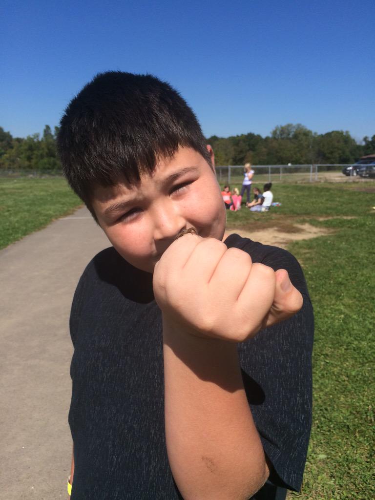 MrsBendes's tweet photo. Today at recess, a student caught a spider! He was very proud! #spiderexpert http://t.co/qGXekLjgDY