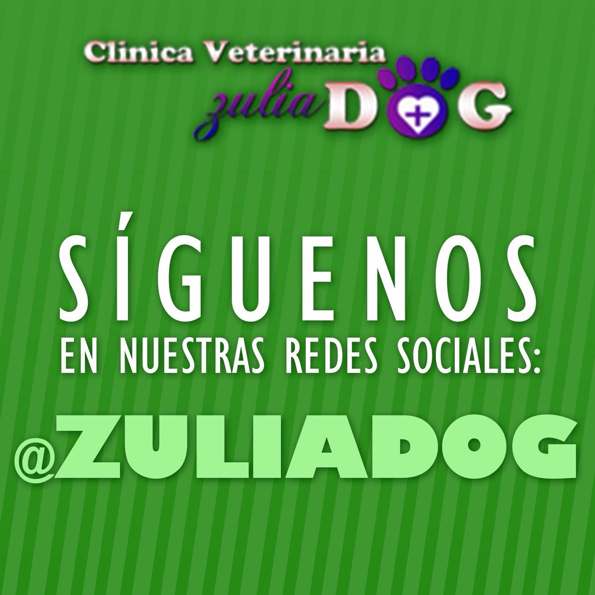 ZuliaDog's tweet image. Para mas información, tips y consejos consulta nuestras redes sociales: 

@ZuliaDog
@ZuliaDog
@ZuliaDog