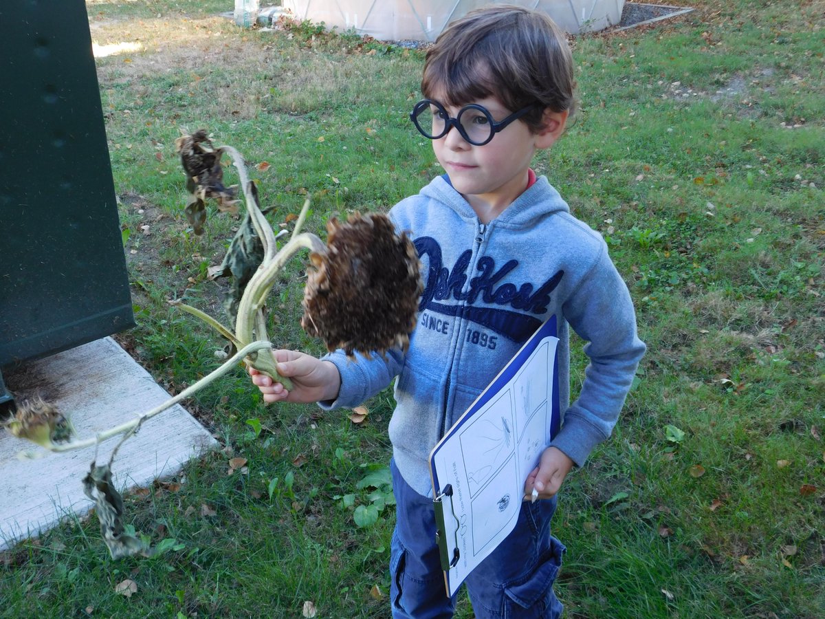 hbsric's tweet photo. HBS K learners out and about on RIC campus in search of signs of fall #science #recordobservations #hbsonthemove http://t.co/rRIDmkY8Hi