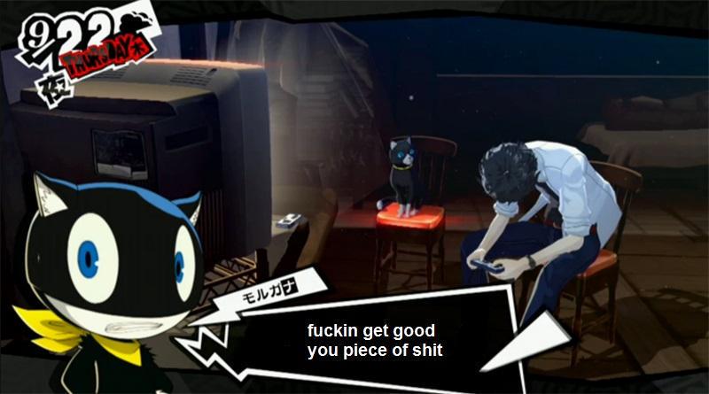 ConfessPersona's tweet photo. My cat catches me playing me playing persona 4 golden on very easy http://t.co/eXlgxKKZwK