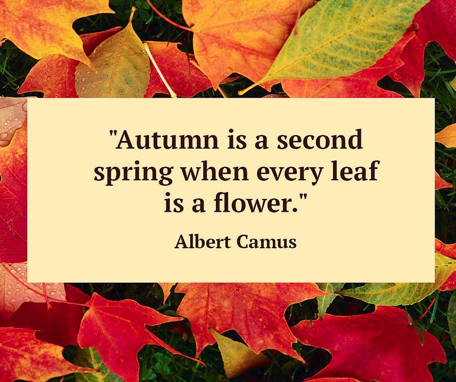 OpticalEdgeTX's tweet photo. Happy First Day of Autumn! http://t.co/cR3sT2aW8a