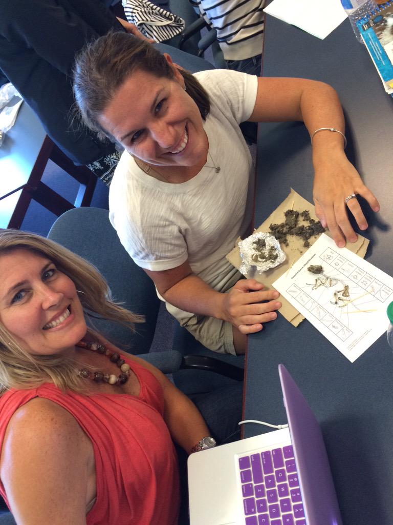 lbliven's tweet photo. Owl Pellets at @gemsnet10 #lifescience @KVocatura @jscanapieco #washedourhands http://t.co/l8lQfWJloO