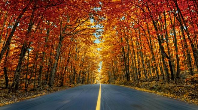 TownofGananoque's tweet image. #falldrive the #1000islandsway travel1000islands.ca/directory/fall…