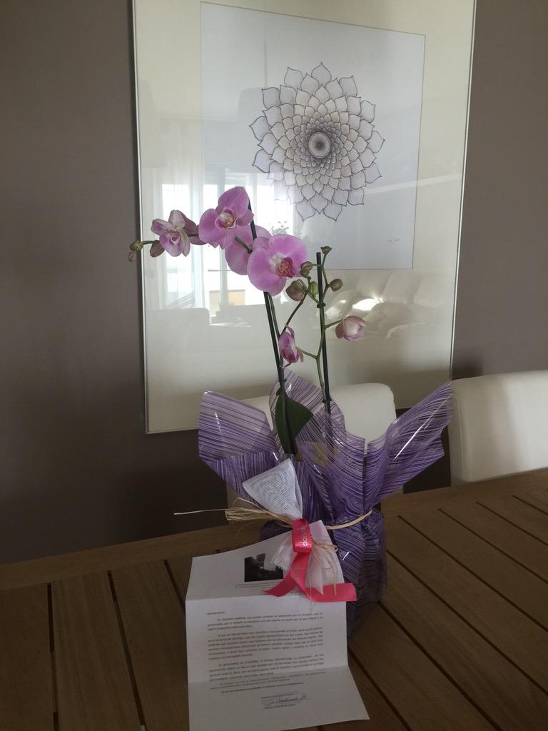 Rociodmsp's tweet photo. Precioso detalle de @AlzheimerAvila. Mil gracias, detalles que llegan al corazón @SusanaMar10. #MemorialMVideoclap http://t.co/Y0Pw5IEALc