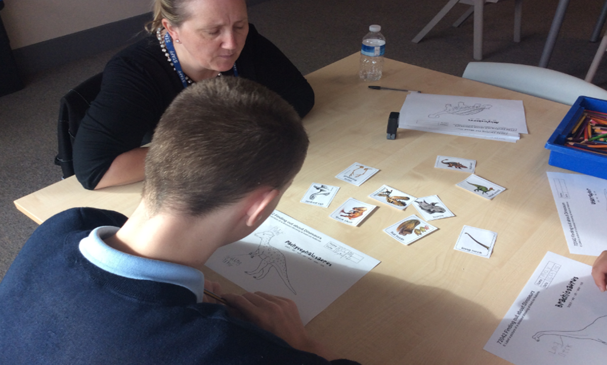 Exploring dinosaur variation #dinofun