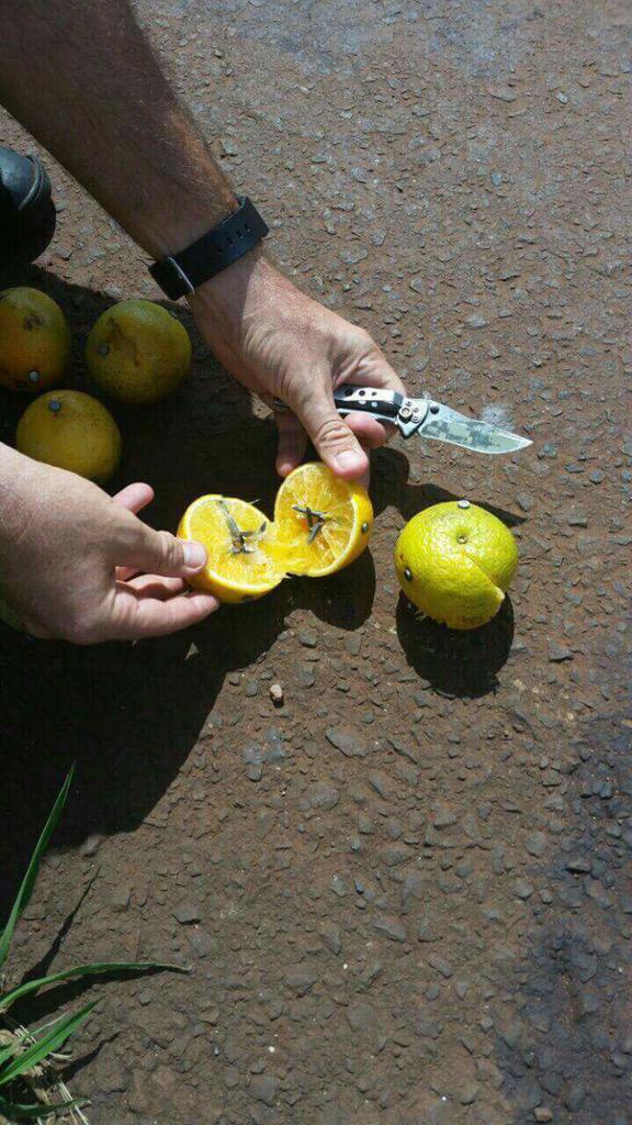 Jacobo Alonso Rguez (@jacoboalro) on Twitter photo 