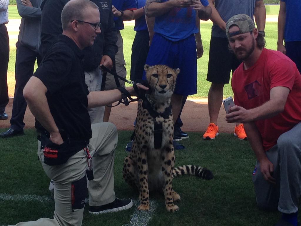 CPnYHa7UwAEvOpx.jpg:large