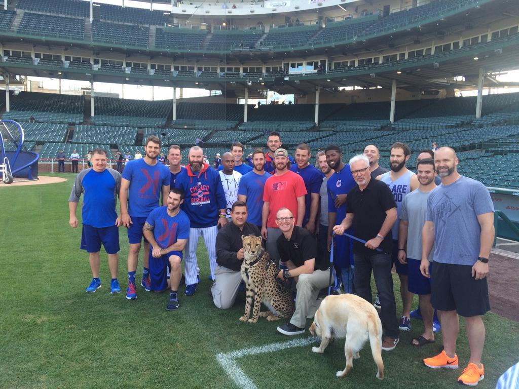 CPnZjojUYAAAazV.jpg:large