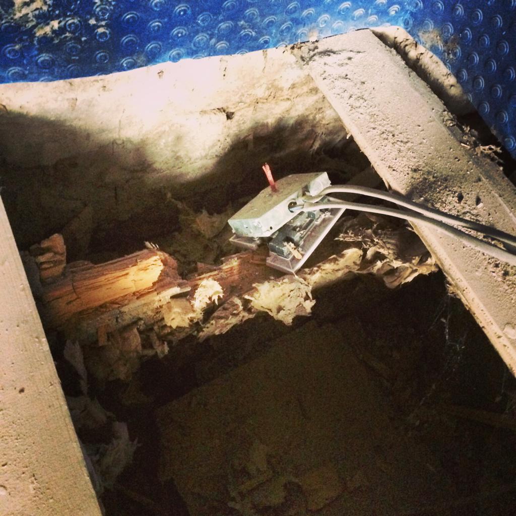 Storah Architecture tweet media