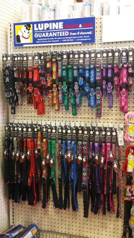 StockShopAZ's tweet photo. Come on in and check out our new Lupine collar and leash designs! #StockShopAZ #Fundogcollars http://t.co/1ElwVxl5Vc