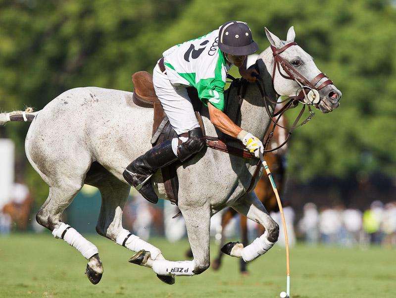 Texans_For_Polo's tweet photo. Polo tailgate today. FREE! 5:30 pm at Stonebriar Polo Club, 505 Yacht Club Dr, Oak Point,TX 
Join us &amp; bring friends! http://t.co/00kc45TA9l