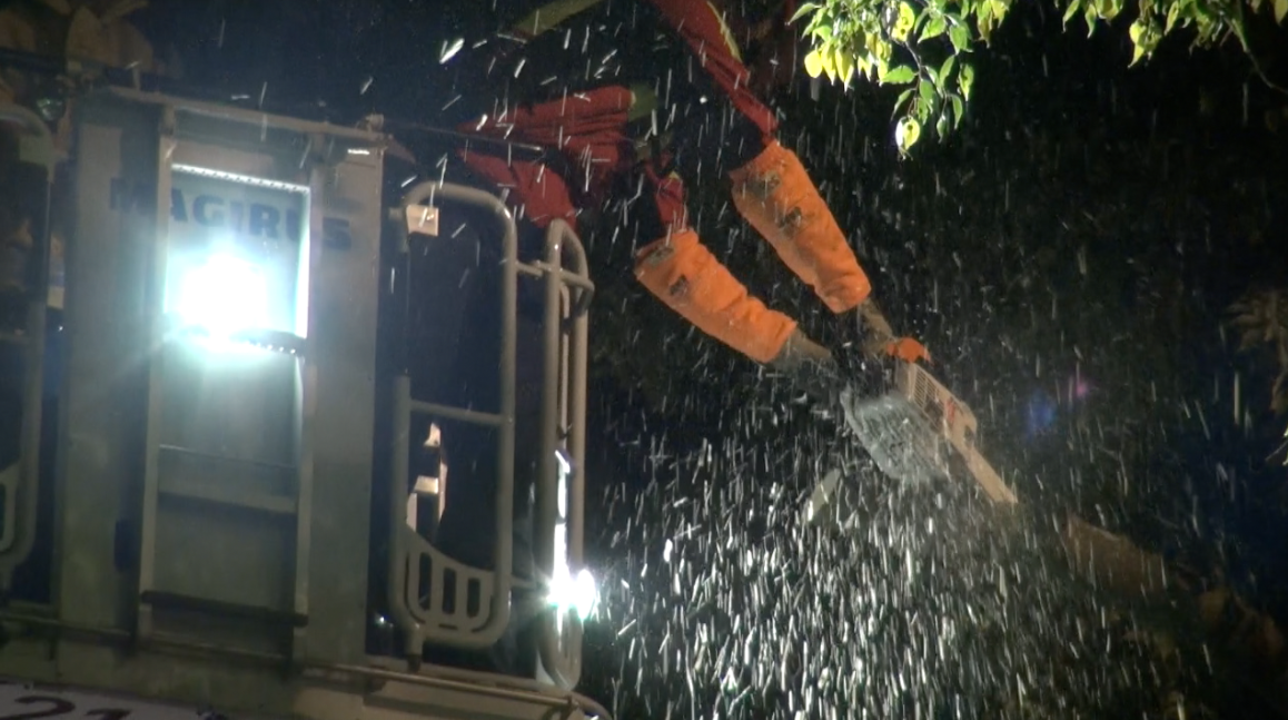 Rue de la Croix Rouge : abattage d'urgence de six micocouliers. Les #pompiers sont sur le pont. #LBinfo <a href="/lemanbleutv/">Léman Bleu</a>