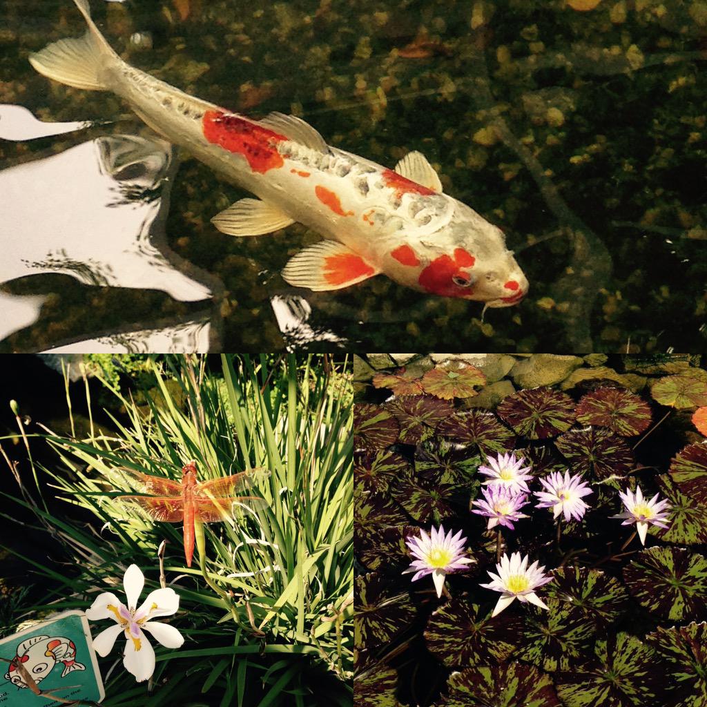 nirakyma's tweet image. 