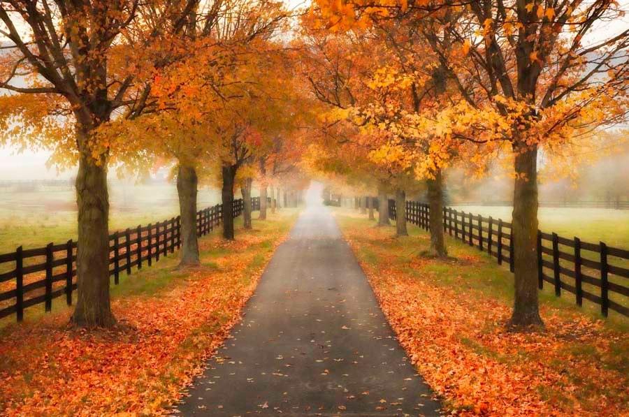 BillD2409's tweet photo. Autumn in Virginia http://t.co/5DQJ5w7Jd3