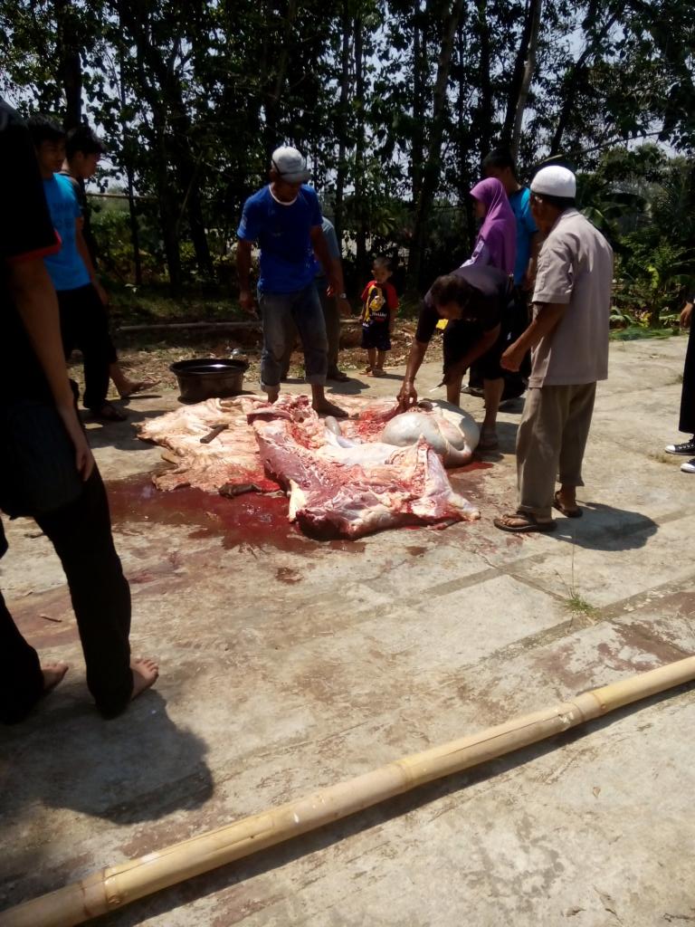 FSDMADEMUSH's tweet photo. Terima kasih buat warga sekitar yg udah bantu panitianya#BERBEQU 52 http://t.co/qlFFTvNNNN