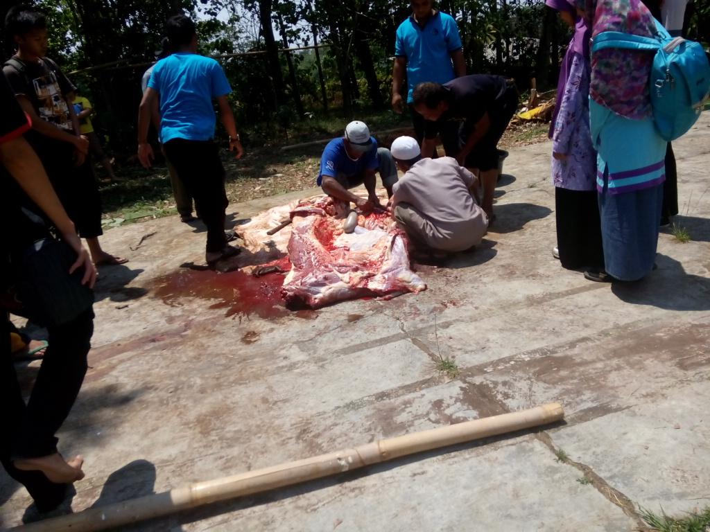 FSDMADEMUSH's tweet photo. Terima kasih buat warga sekitar yg udah bantu panitianya#BERBEQU 52 http://t.co/qlFFTvNNNN
