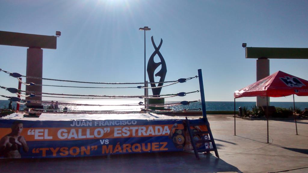 Todo listo para iniciar el entrenamiento público de <a href="/GalloEstradaOfi/">Gallo Estrada</a> &amp; <a href="/tysonmarquez/">Hernan Marquez ❌</a>  en unos minutos.