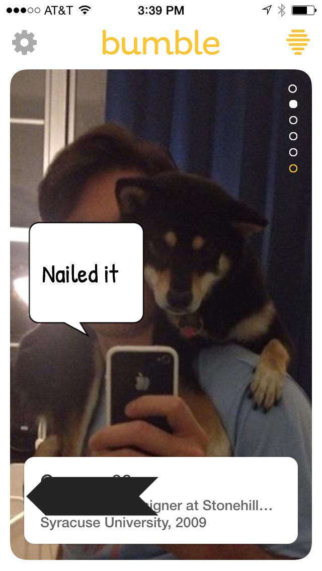bumbledogs's tweet photo. Yes! Let's take a #selfie thurs my fav! Weeeee! #dogsofbumble #bumbleapp #datingapp obligatory selfie http://t.co/QbBY6xqC4e